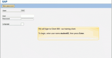 Sap online training screenshot