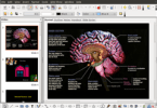 LibreOffice Impress