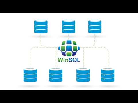 WinSQL: A Universal Database Query Tool