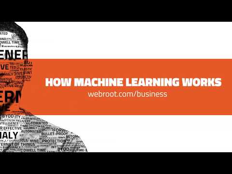 Real-Time URL Classification Using Advanced Machine Learning | Webroot